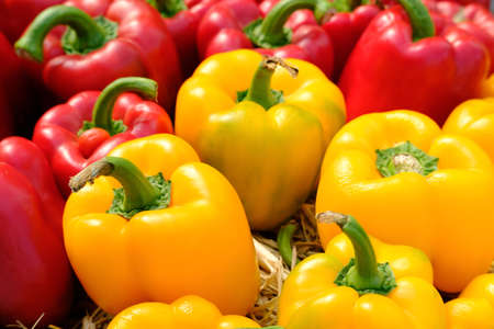 Bell peppers sorted by colorの写真素材