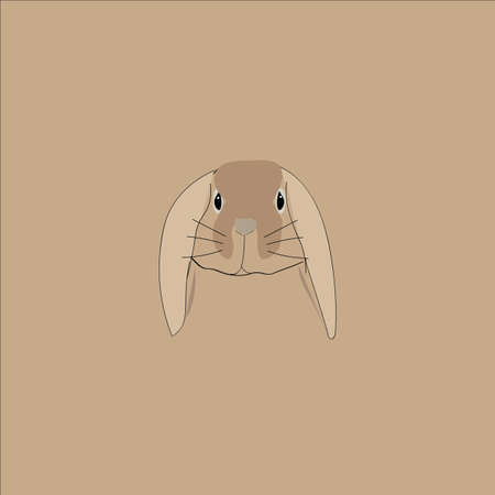 Head of rabbit.Vector illustrationの写真素材