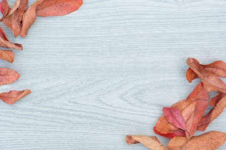 Dry leaves on wooden background ,Autumn concept flat lay and copy spaceの写真素材