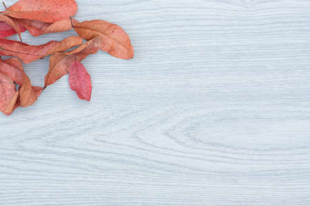 Dry leaves on wooden background ,Autumn concept flat lay and copy spaceの写真素材