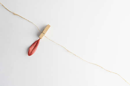 Dry leaves on a rope, Leaf with copy space
