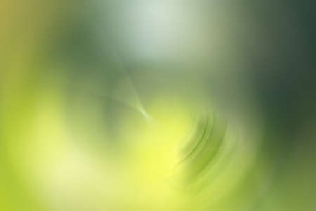 abstract green color of natureの写真素材