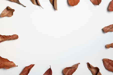Autumn composition. Frame made of autumn leaves, Flat lay leaf on white background, top view, copy spaceの写真素材