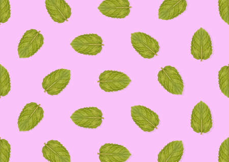 Seamless of green mint in pink background