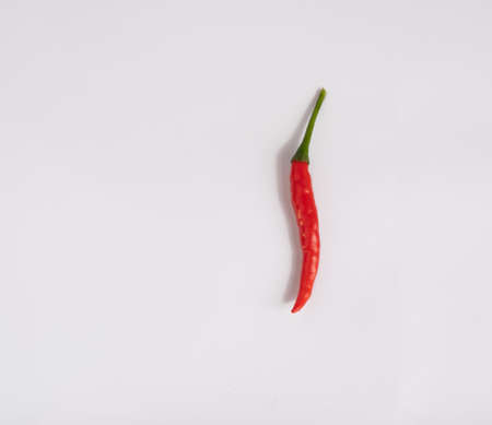 One red chilli fresh on white background with copy spaceの写真素材