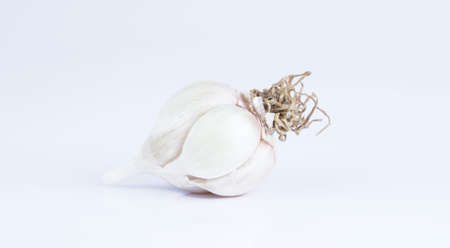 Garlic in isolated white background