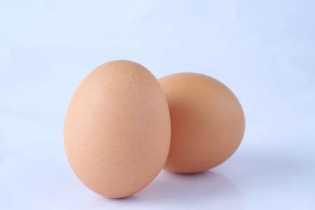 The eggs on the white backgroundの写真素材