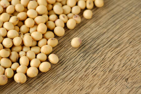 Dry soybean close up of top view,background of foodの写真素材