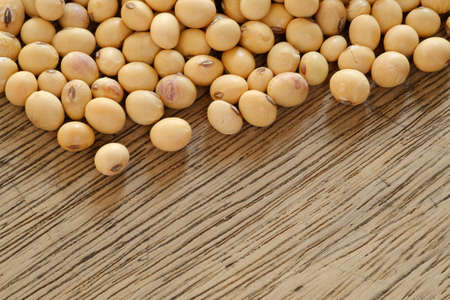 Dry soybean close up of top view,background of foodの写真素材