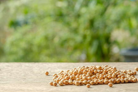 Soy bean on table and copy spaceの写真素材