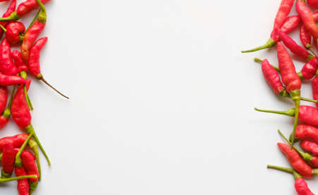 Chilli on white background with copy spaceの写真素材