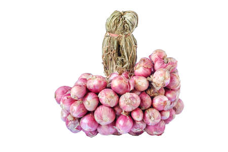Shallot on isolated white backgroundの写真素材