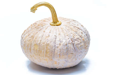 Close-up of pumpkin on isolated white backgroundの写真素材