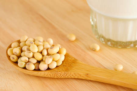 Soybeans on a wooden spoon. close-upの写真素材