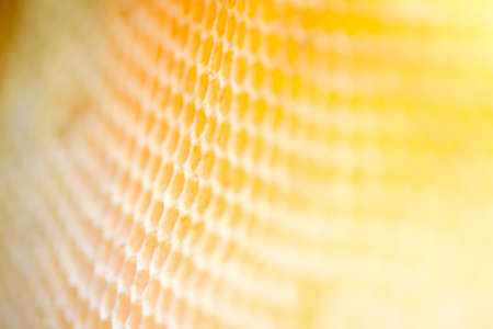 Beehive selective focus background of ntural golden colorの写真素材
