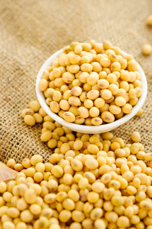 Soy bean in bowl with copy space.Close up soybean.beans dry in plateの写真素材