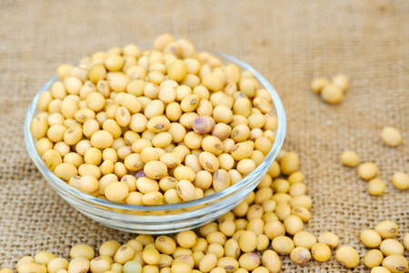Soy bean in bowl with copy space.Close up soybean.beans dry in plateの写真素材