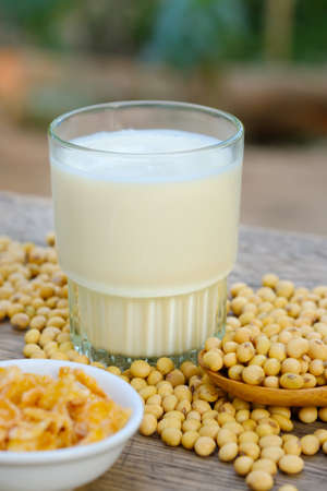 Soymilk in glass on the table .breakfast concept.soybeans dry on tableの写真素材