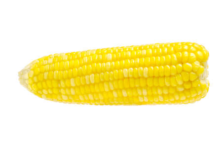 Corn in isolated white backgroundの写真素材