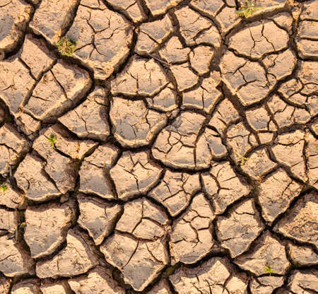 Dry soil results from lack of water.の写真素材