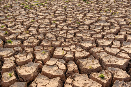 Dry soil results from lack of water.Global warmingの写真素材