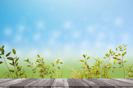 Green leaves in blurred and bokeh light background,Leaf and copy space.Spring background and empty wooden table for a conceptの写真素材