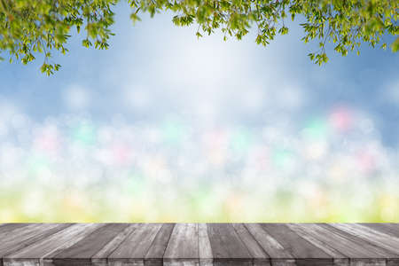 Green leaves in blurred and bokeh light background,Leaf and copy space.Spring background and empty wooden table for a conceptの写真素材