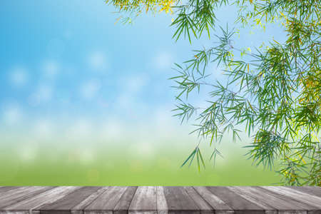 Green leaves in blurred and bokeh light background,Leaf and copy space.Bamboo leaf and empty wooden table for a conceptの写真素材