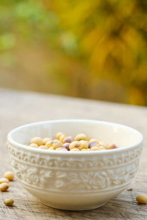 Soy bean in bowl on floor and copy spaceの写真素材