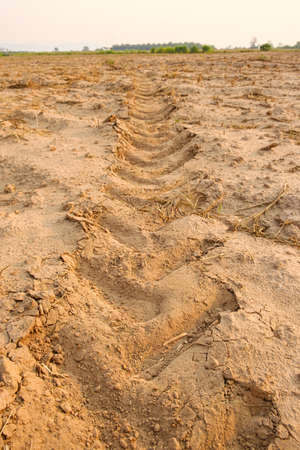 Tractor tracks on the ground.Wheel marks on the soil.Sandy loamの写真素材
