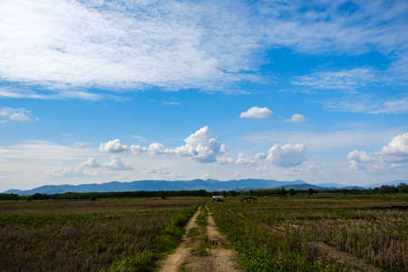 The white clouds have a strange shape and country side.Cloudy and blue skyの写真素材