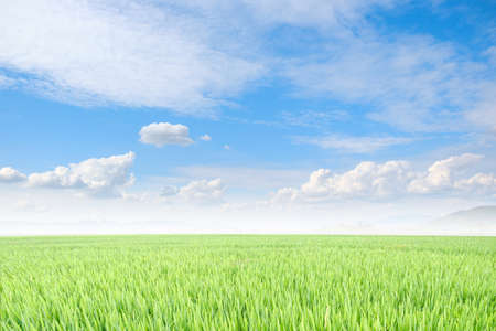 The white clouds have a strange shape and country side.Cloudy and blue sky.Cloud and mountains.Grass field and blue sky.Landscape of countrysideの写真素材