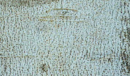 The outer shell of the tree,texture bark.Pattern of barkの写真素材