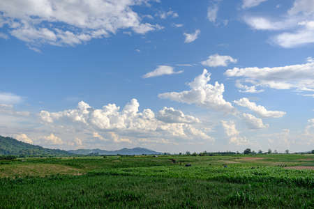The white clouds have a strange shape and moutain.The sky and the open space have mountains below.Clouds floating above the mountains.の写真素材
