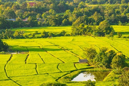 Aerial view of endless lush pastures and farmlands of CHIANGRAI.Cultivated agricultural field.Rural landscape on sunset.の写真素材