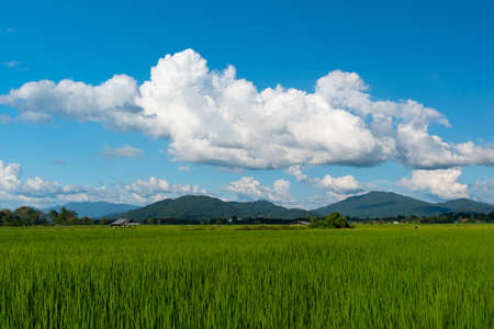 The white clouds have a strange shape and moutain.The sky and the open space have mountains below.Clouds floating above the mountains.の写真素材