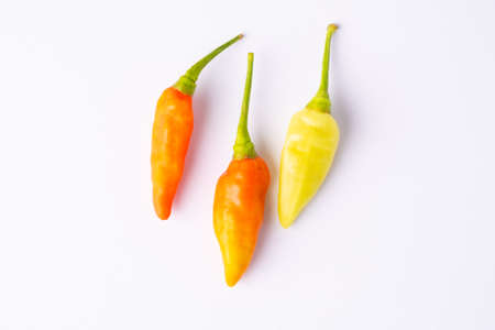 Chilli asian on white background.Karen chili.の写真素材