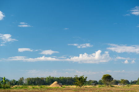 The white clouds have a strange shape and country side.Cloudy and blue sky.の写真素材