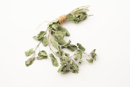 Dry oregano on white background. Dried oregano on a white sceneの写真素材