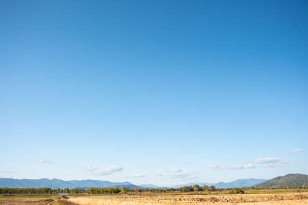 The white clouds have a strange shape and country side.Cloudy and blue skyの写真素材