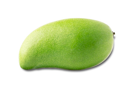 Green mango in isolatedの写真素材