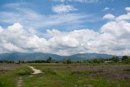The white clouds have a strange shape and country side.Cloudy and blue skyの写真素材