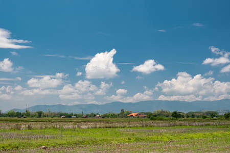 The white clouds have a strange shape and country side.Cloudy and blue skyの写真素材