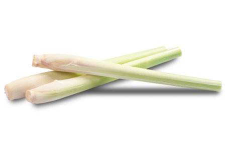 Lemon grass in isolated white backgroundの写真素材