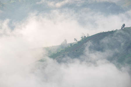 Surreal landscape of morning foggy..Morning clouds at sunrise.Landscape of fog and mountains of northern Thailandの写真素材
