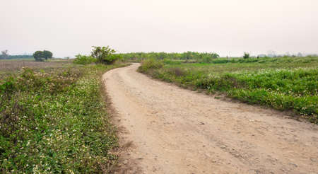 Rural dirt road and grass on both sides of the road. Path in rural fieldsの写真素材
