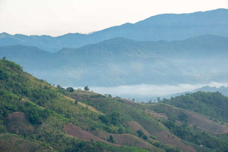 Surreal landscape of morning foggy..Morning clouds at sunrise.Landscape of fog and mountains of northern laos.の写真素材