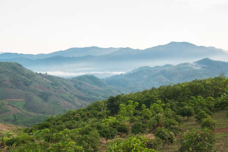 Surreal landscape of morning foggy..Morning clouds at sunrise.Landscape of fog and mountains of northern laos.の写真素材