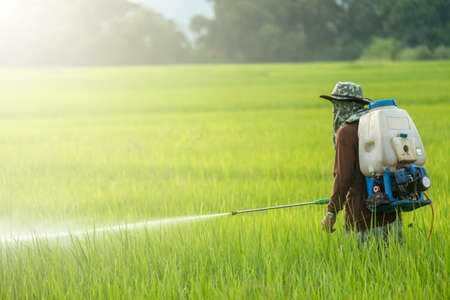 people spraying pesticides in farm with copy spaceの写真素材