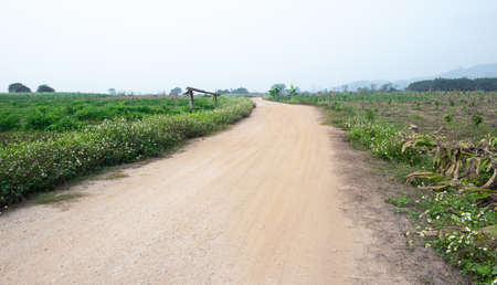 Rural dirt road and grass on both sides of the road. Path in rural fieldsの写真素材